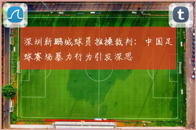 深圳新鹏城球员推搡裁判：中国足球赛场暴力行为引发深思